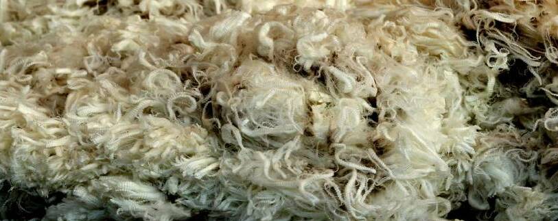MARKET STRENGTH: There were few changes in wool prices despite a 10,000 bales increase in last week's offering.