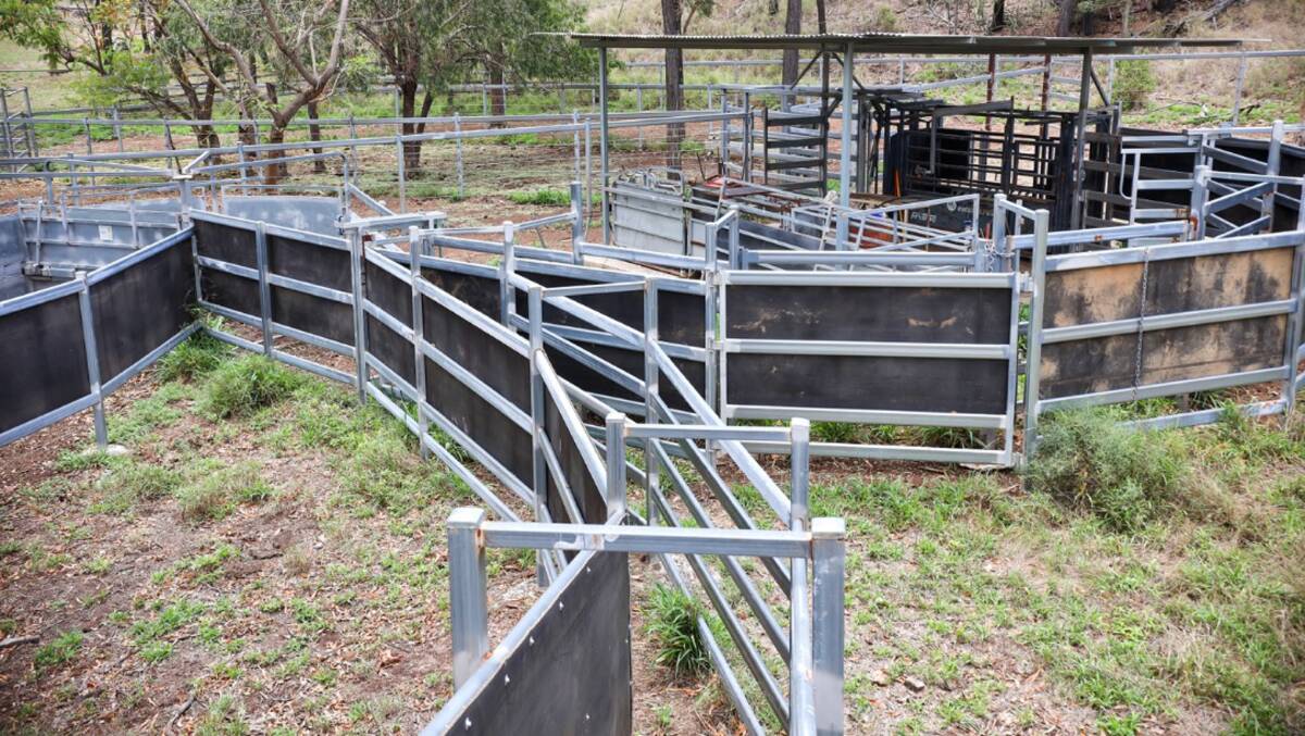 The new steel and cable cattle yards are equipped with a loading ramp, head bail, branding cradle and are watered by three troughs. Picture supplied