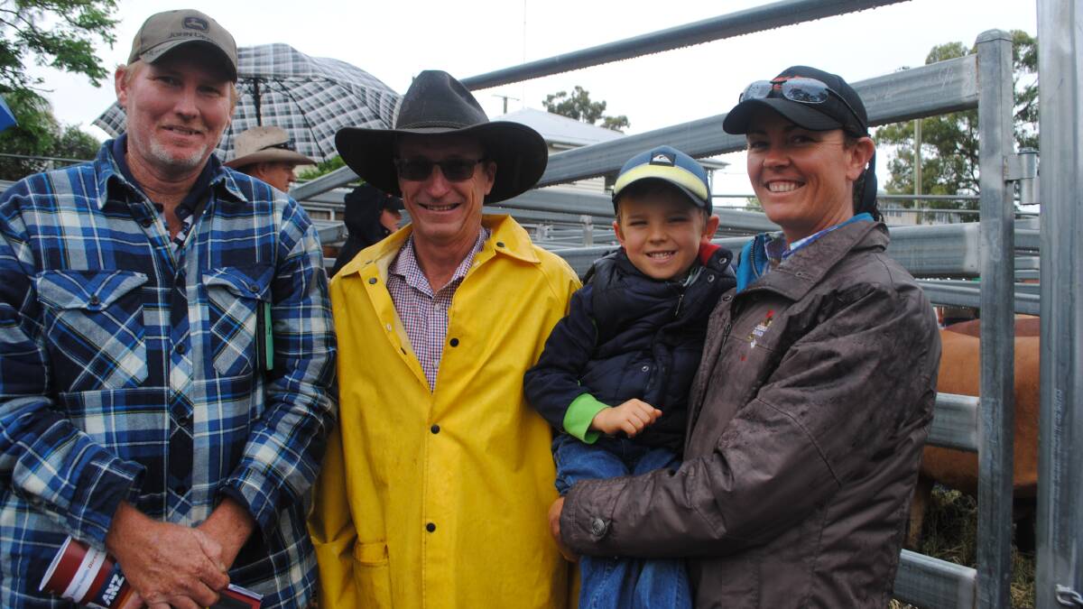 Scenic Rim Droughtmasters sale, Boonah