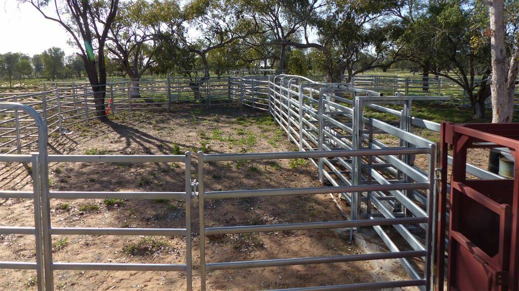 Glencoe has a new set of steel cattle yards. 