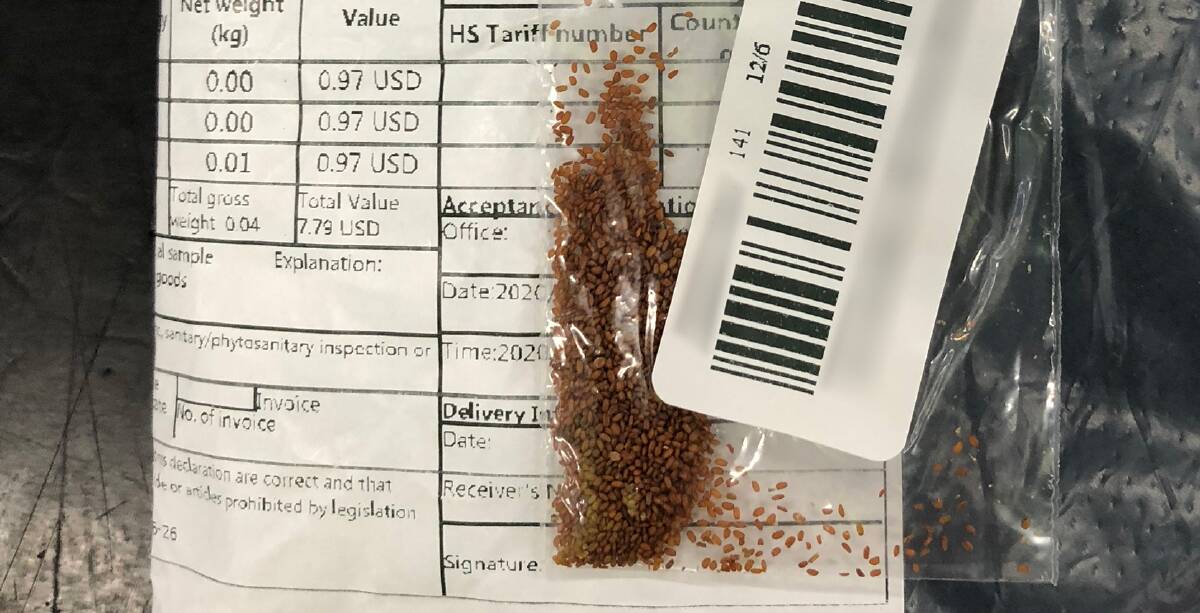 Officials warm seeds that arrive from overseas and do not comply with Australia's biosecurity conditions can carry a range of risks.