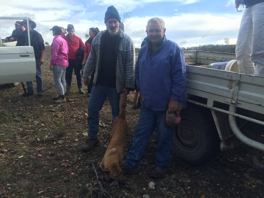 ​ONE DOWN: Wal Lee, Avonleigh, Karara, and Sandy Smith, Allendale, Gore, with a sheep killing wild dog shot on Monday.
