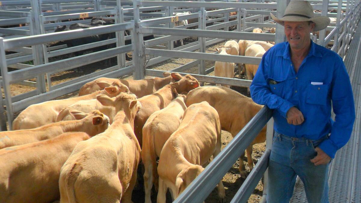 ON THE RISE: Chris Franklin from Y-Wagyu Pastoral Co, Oaky Creek, sold Charolais-cross weaner steers for $900.
