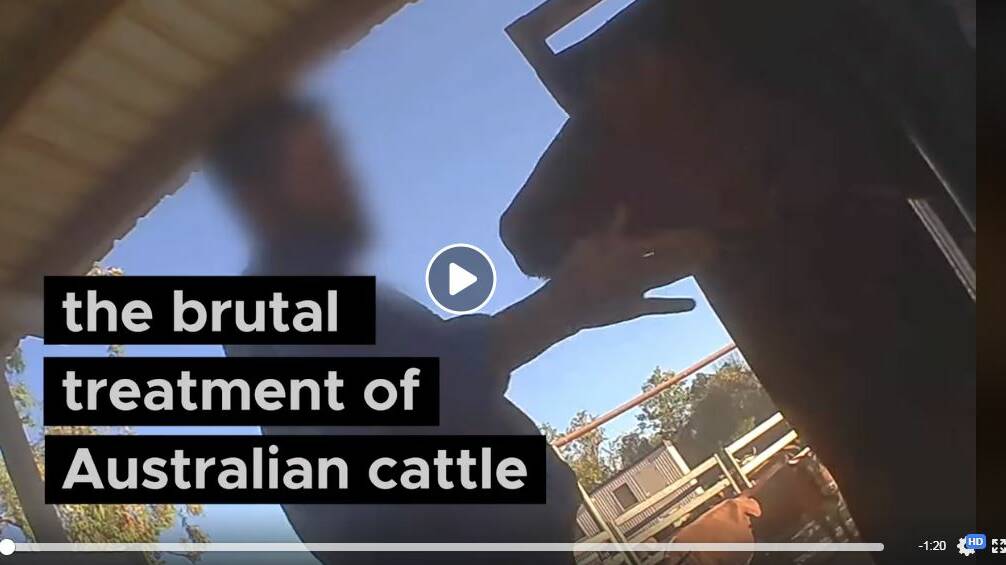 A disturbing video involving animal cruelty on northern Australian beef properties has surfaced on a vegan social media site.