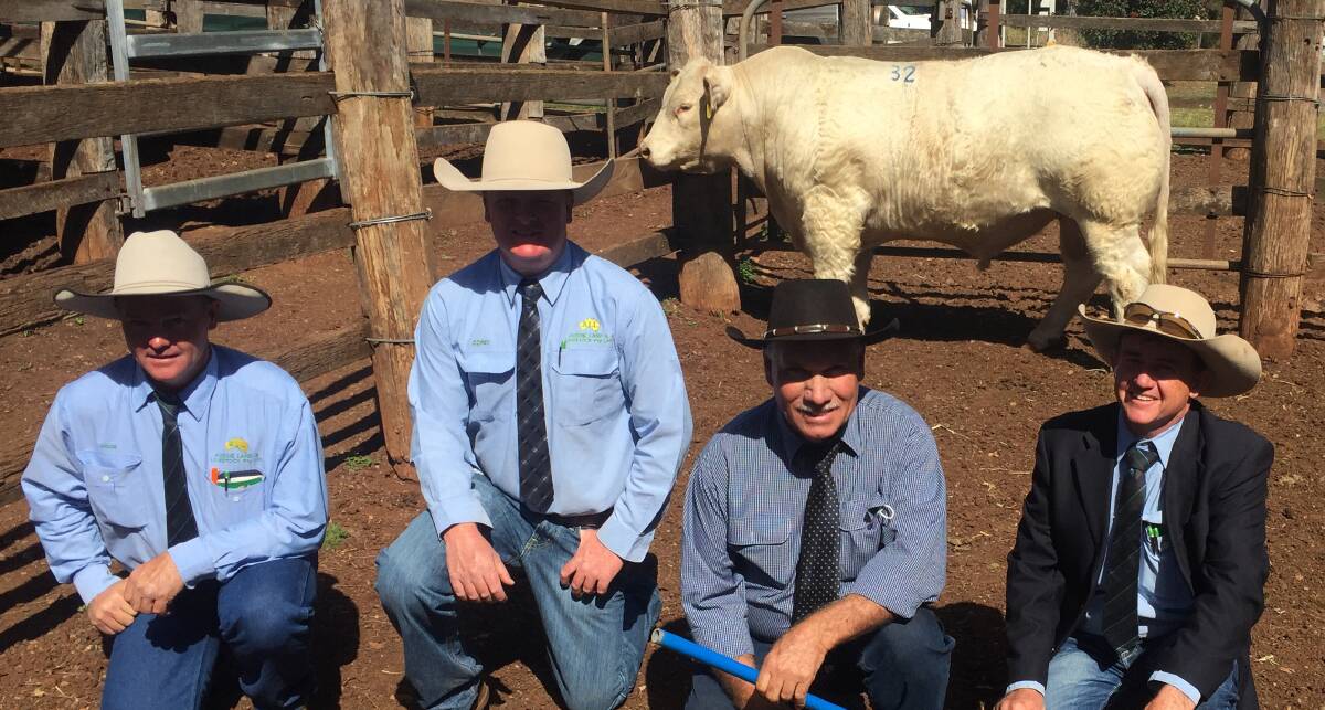 Vendor Graham Blanch, Charnelle Charolais, with Aussie Land and Livestock agents Midge Thompson, Corey Evans and James Bredhauer with the $26,000 top priced bull Charnelle Quartermaster. 