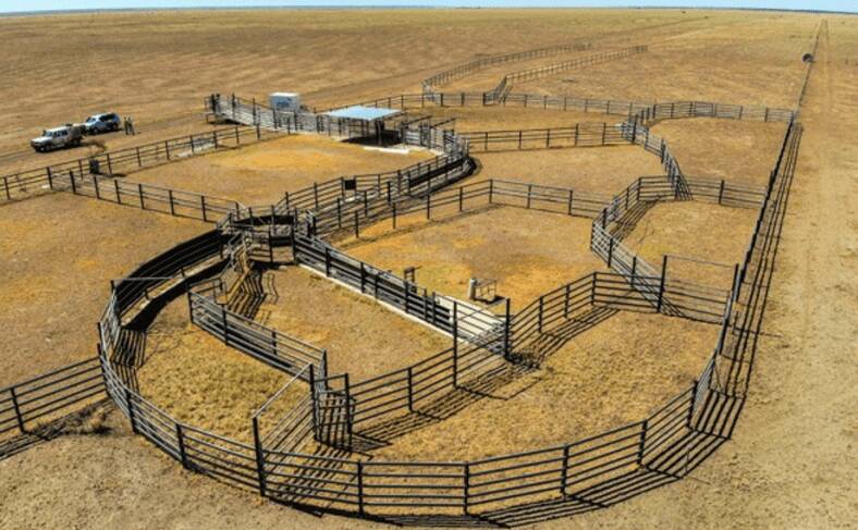 The Bowen Downs aggregation has three large sets of steel cattle yards.