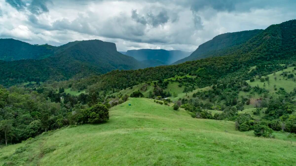 RAY WHITE RURAL: Scenic Rim lifestyle/cattle grazing property Basalt offers stunning views of the national park.