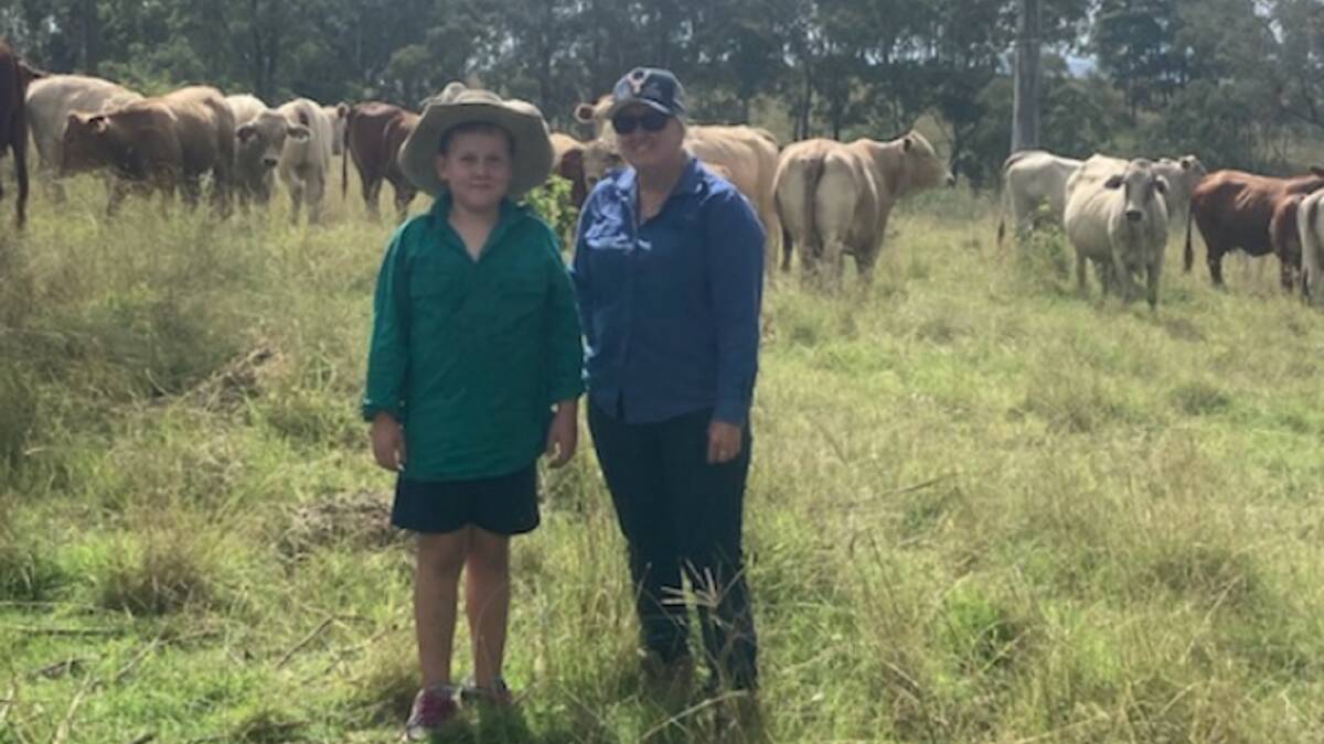 Jenny Richards, Linville, pictured with her grandson Blake, will offer 50 Charolais/Droughtmaster-cross weaners.