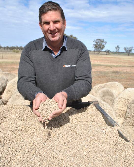 The performance of ruminants suffer when digestible energy becomes a limiting factor. Pellets provide a ready solution, says livestock nutrition advisor Toby Doak.