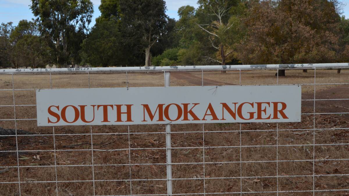 South Mokanger overhauled | Video