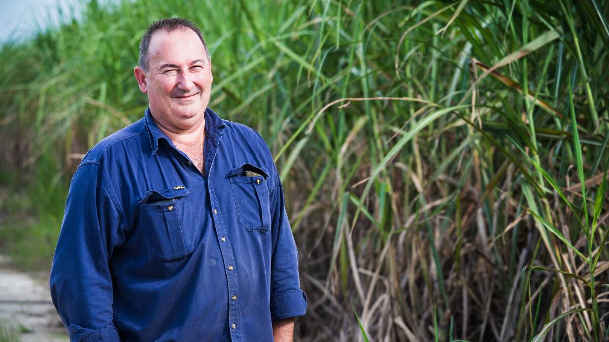 CANEGROWERS has endorsed farmer Stephen Calcagno for the board of Sugar Terminals Limited.