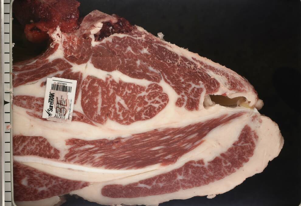 CHALLENGE WINNER: The eye muscle of Richard and Dyan Hughes' Wentworth Cattle Company's $5985 Wagyu carcase.