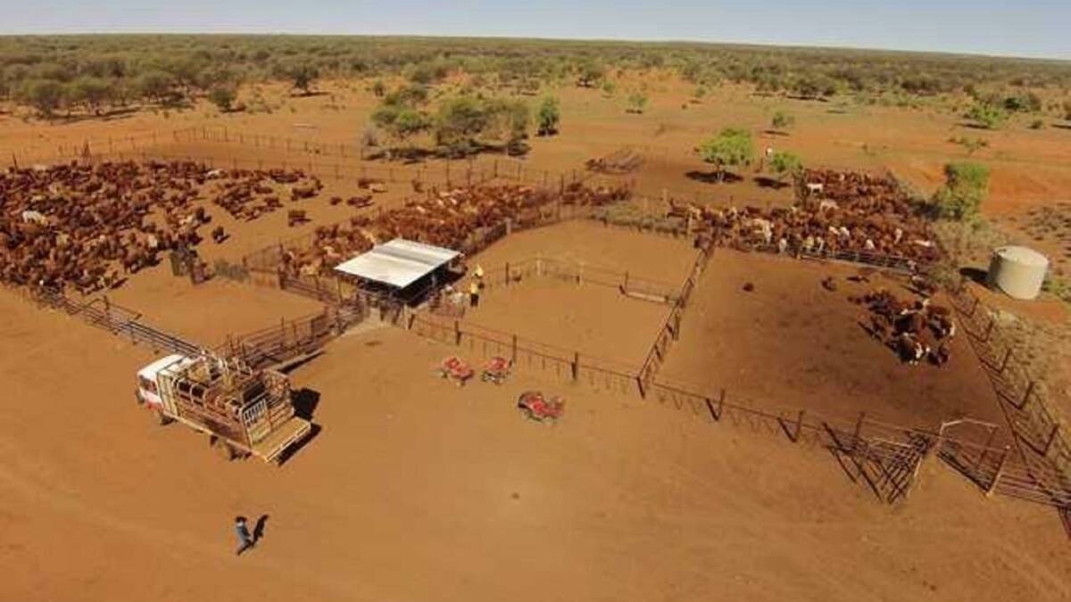 Lower Barkly Tableland property Epenarra sold for about $7.7 million on a bare basis.
