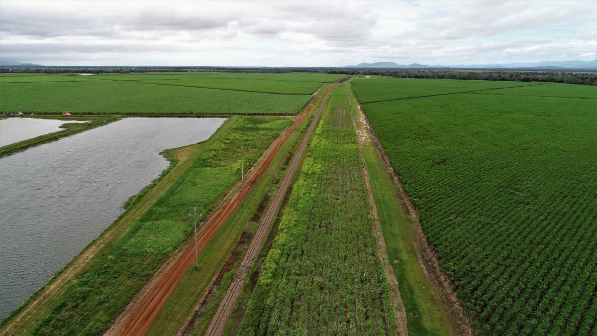 An area of 1132ha is used for cane production with a further 800ha of country cleared.