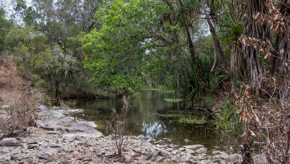Leichhardt Creek is bisected by five creek systems, which have a number of semi-permanent seasonal waterholes