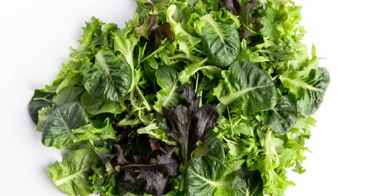 Stacked Farm says it has secured $56 million in funding to accelerate its vertical farm roll out across Australia.