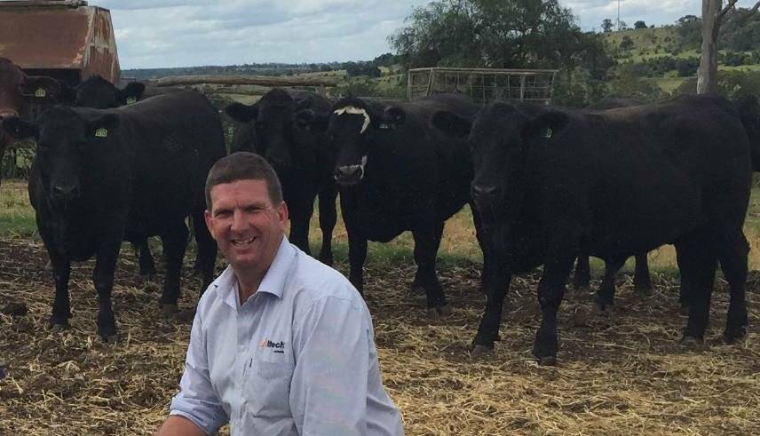 It is important to make sure feed rations are formulated to meet or exceed the nutritional requirements of the cow during early gestation, says livestock nutrition advisor Toby Doak.