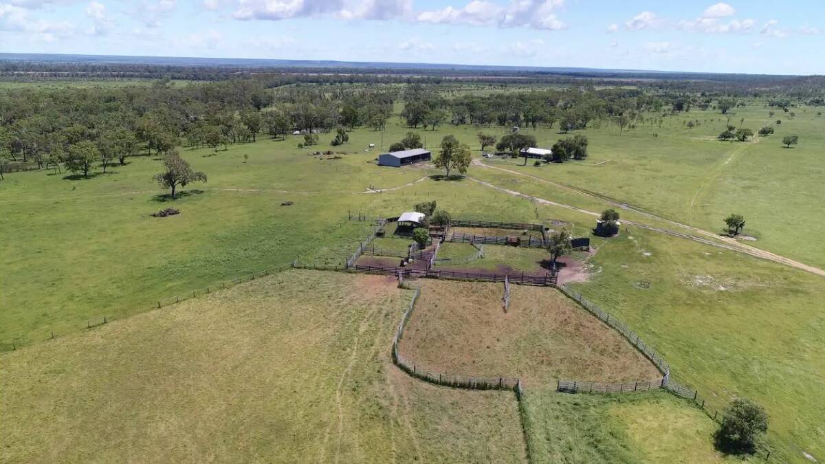 The Purcell family's Central Queensland property Yatton will be auctioned online by Ray White Rural on May 28.