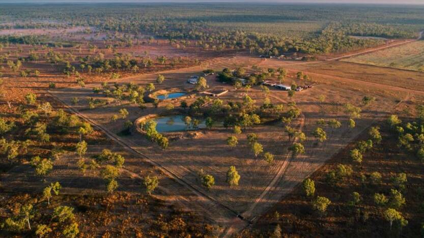 COLLIERS INTERNATIONAL: Cape York Peninsula property Watson River Station is being offered with more than 2400 cattle.