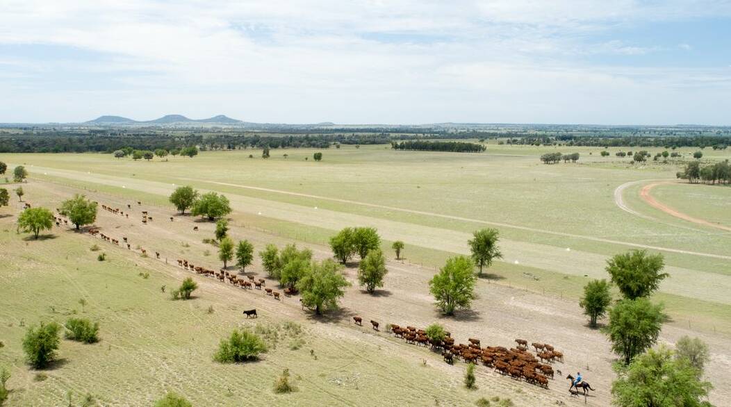 WANDOAN: Pony Plains has sold at a Colliers International auction for $13.3 million. 