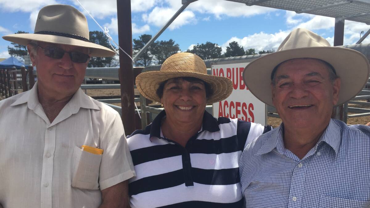 Harold Curry and Co's Tenterfield weaner sale
