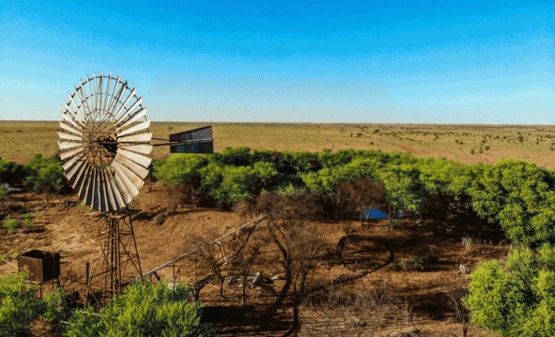 Bowen Downs will be auctioned online by Rural Property and Livestock and JLL Agribusiness on May 6. 