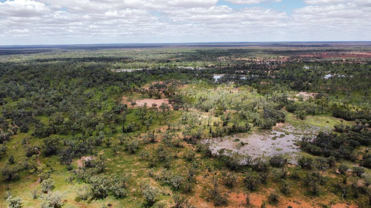 ADCOCK PARTNERS: The 44,500 hectare South West Queensland property Dundoo has sold under the hammer for $6 million.