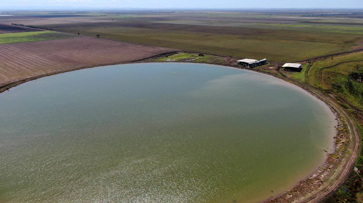 Darling Downs irrigation, dryland opportunity