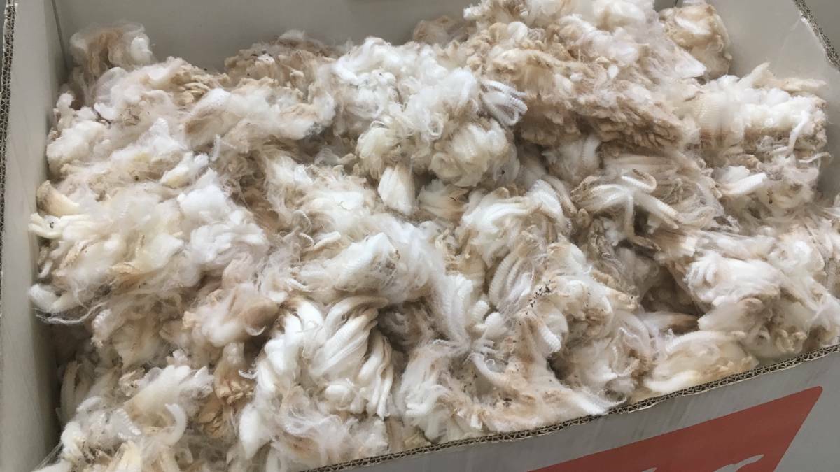Currency has contributed to Australia's falling wool market.