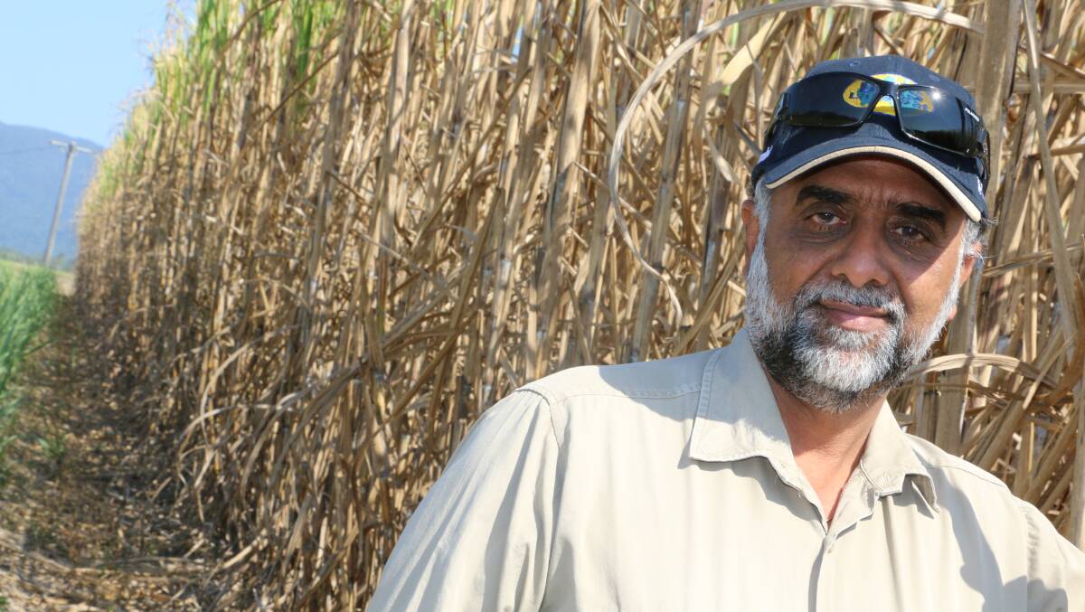 Tully grower David Singh says growers value information on variety performance.