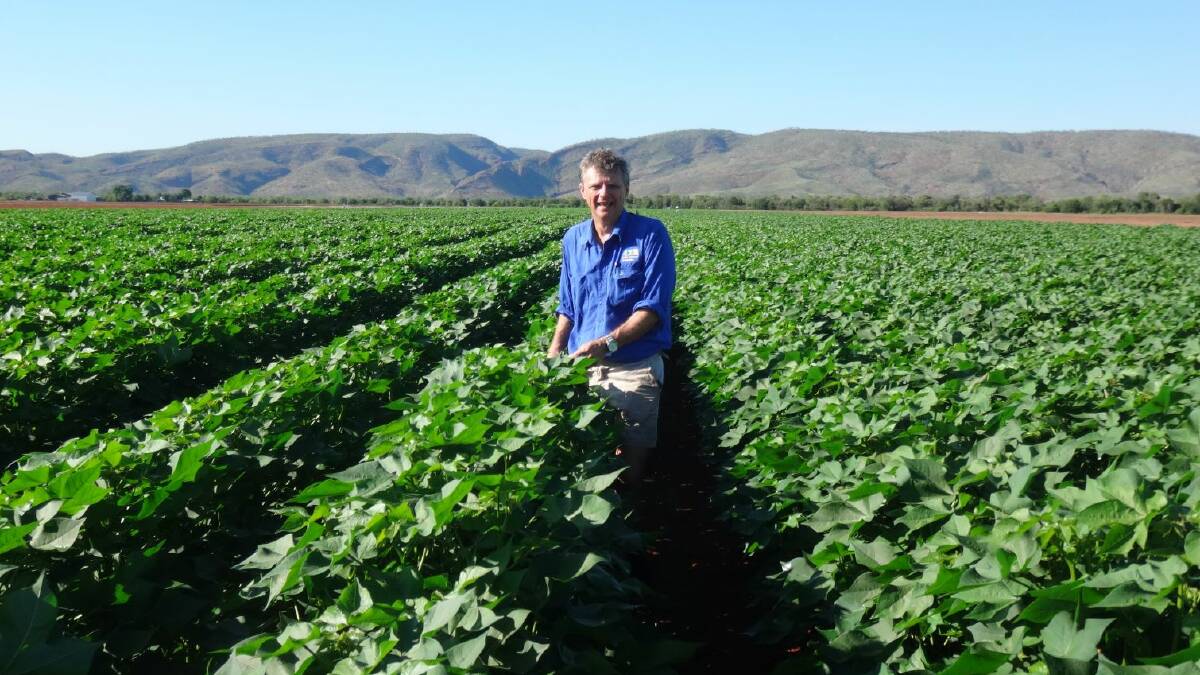 Dr Stephen Yeates (pictured) and Dr Paul Grundy, the Cotton Seed Distributors Researchers of the Year.  