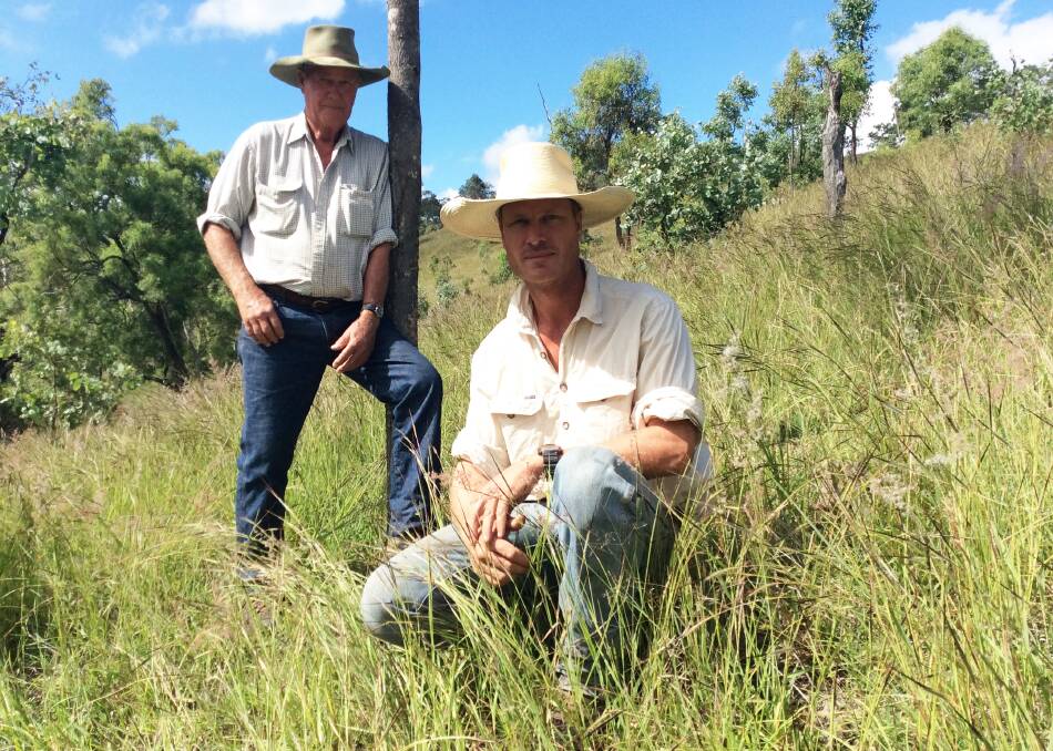 Big task: Father and son team Paul and Rob Clarkson say they are fighting a losing battle against regrowth under Queensland's current vegetation management laws.