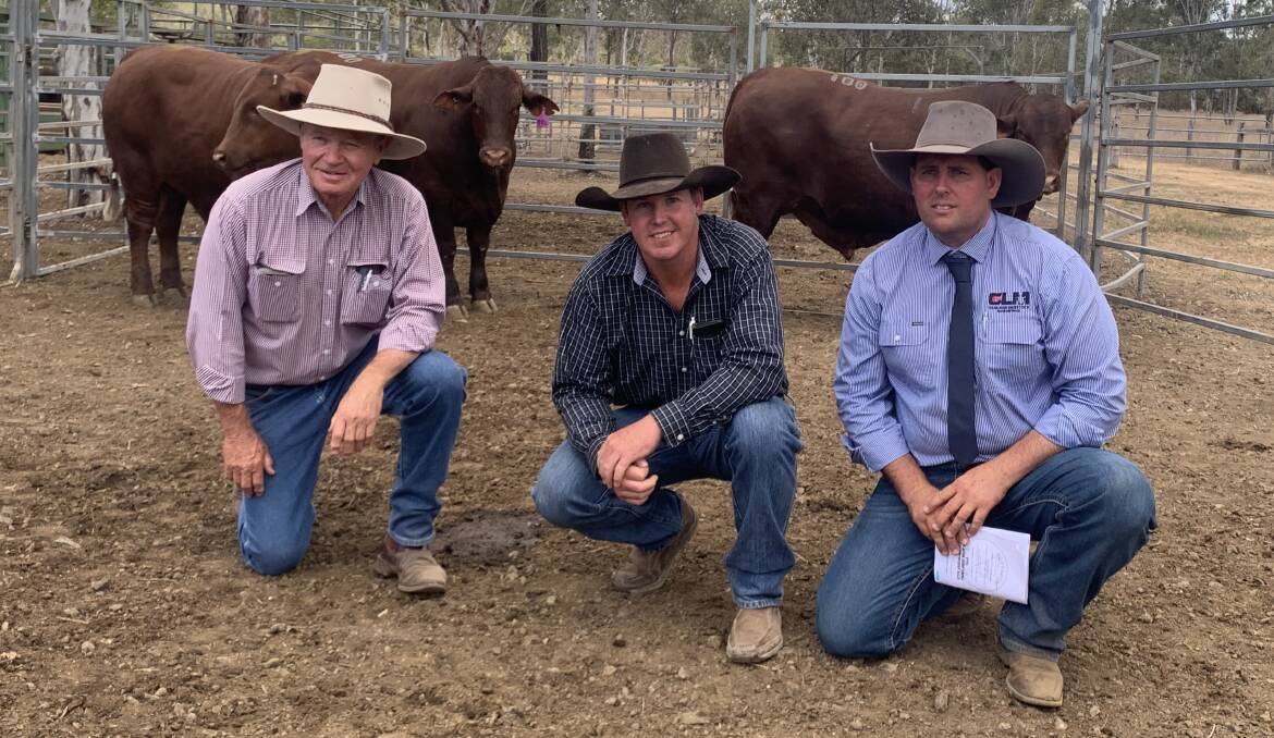Ben Fogg (centre), Moruya Feedlot, with judges Trevor Francis and Brendan Gilliland with the champion grainfed pen at the Moreton Classic.