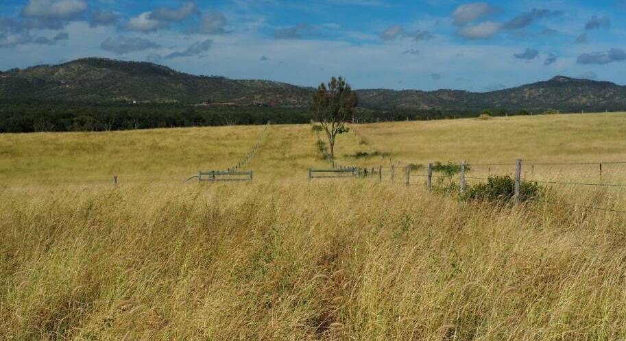 ELDERS: Four Mile will be auctioned in Rockhampton on December 6.