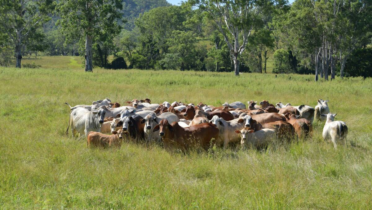 August 19 auction: Quality hinterland grazing country is also offered with the potential for eco-tourism or adventure pursuits.