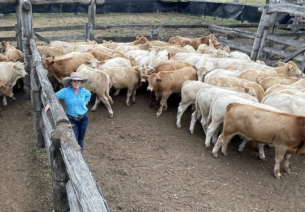 TOOGOOLAWAH WEANER SALE: Gin Gin producers Jamie and Sigrid (pictured) Peters have lined up 170 of their very well handled, mainly Palgrove blood weaners. 