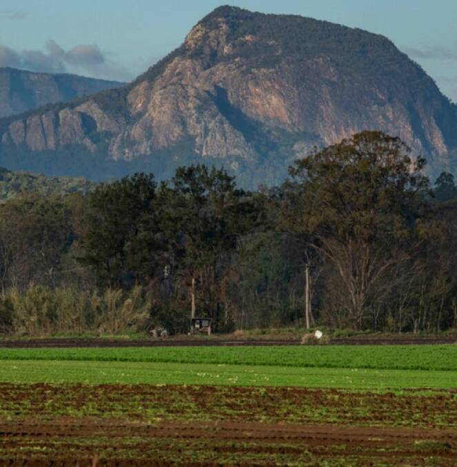The Scenic Rim properties are in a stunning setting.