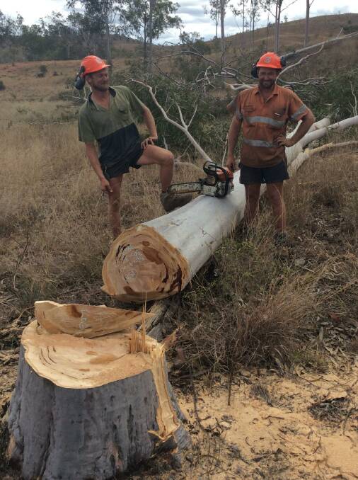 Professional timber getters, brothers Aaron and Glen Marshall, Nanango, say leaving an increased 300 stems to the hectare will kill sustainable forests.