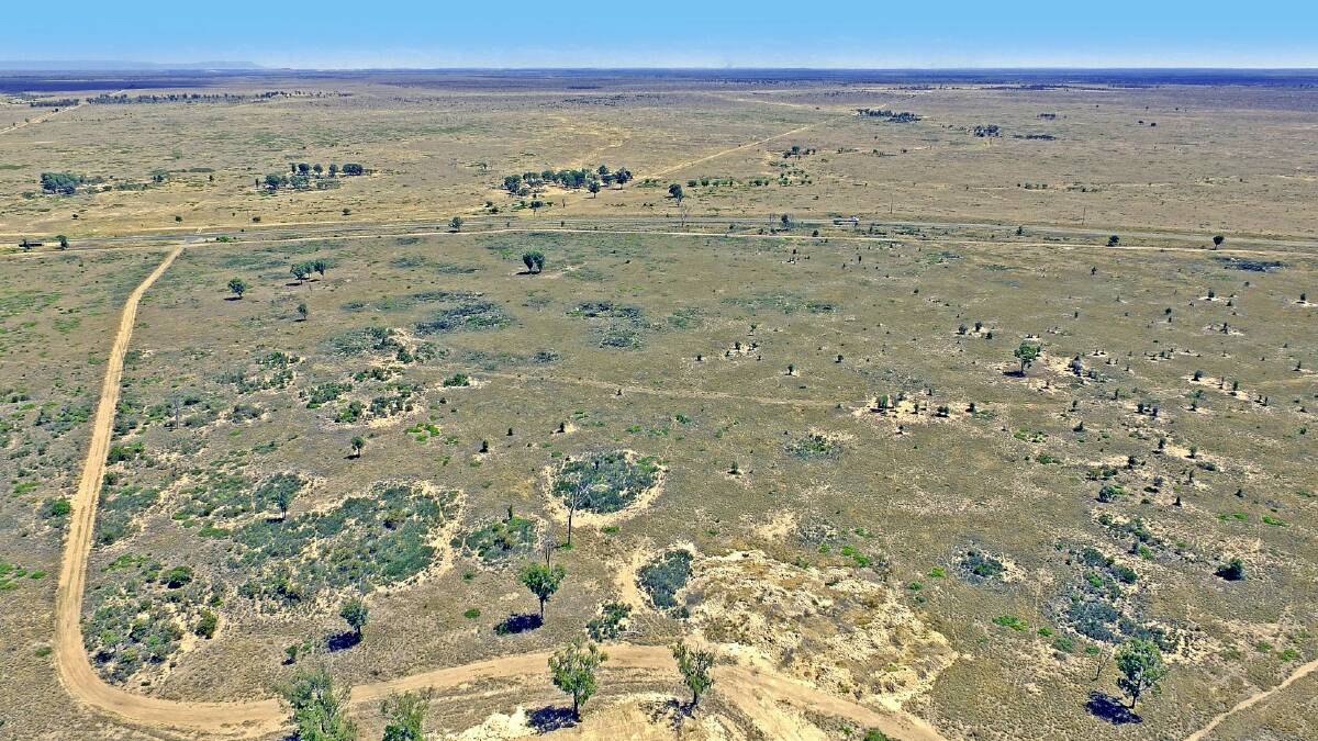 RAY WHITE RURAL: Alan and Jennifer Acton, Wilpeena, Dingo, have paid $6.5 million for the 1334 hectare freehold property Maynes.