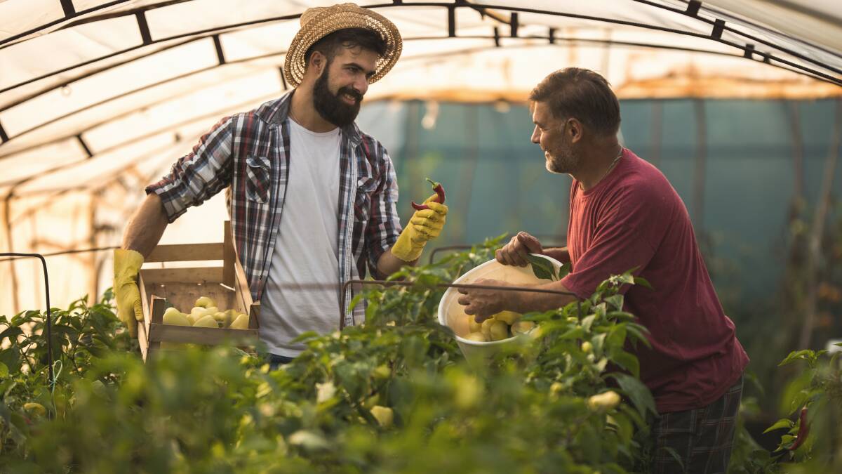 ETHICAL SOURCING: The Queensland horticulture industry's workplace program, Fair Farms, has been endorsed by Fresh Markets Australia.