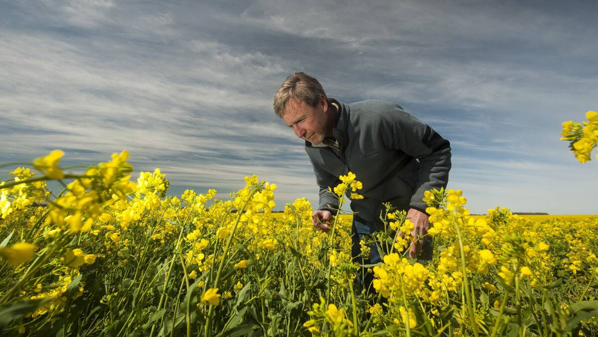 Marcroft Grains Pathology principal Dr Steve Marcroft says results from the latest blackleg screenings of canola cultivars have been factored into the updated disease ratings for 2018.
