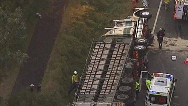 ACCIDENT: The cattle truck rolled over on the Warrego Highway. Photo - Queensland Department of Environment and Heritage Protection