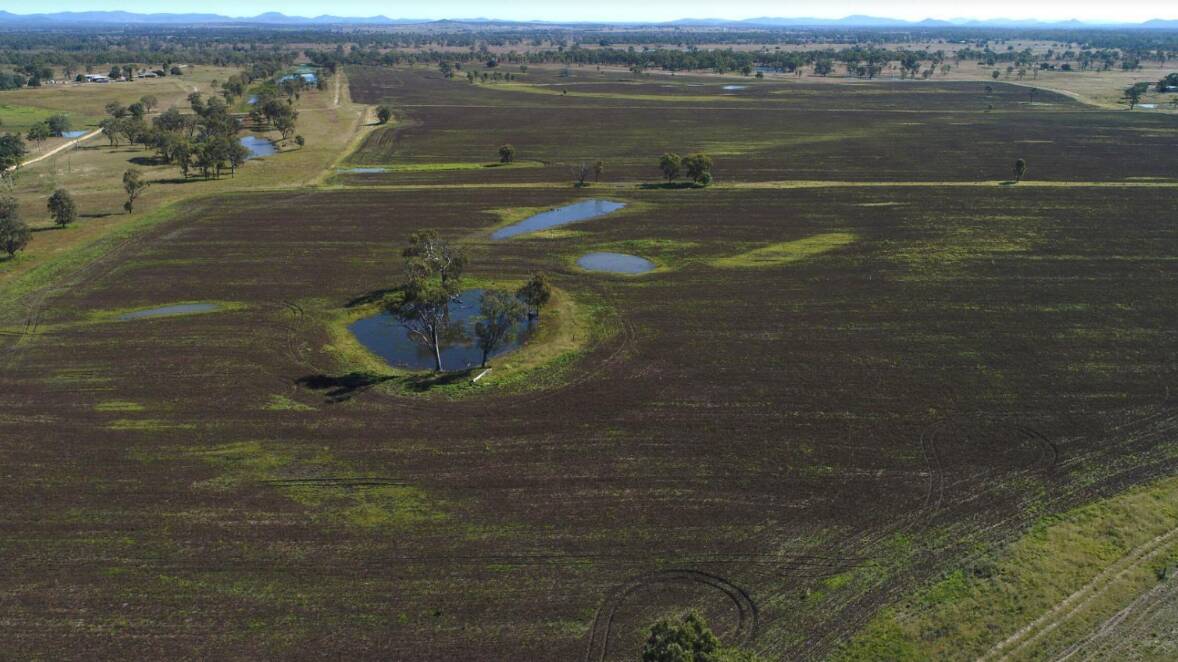Versatile Central Queensland property Dunrobin is headed to auction on September 14 complete with water entitlements. 
