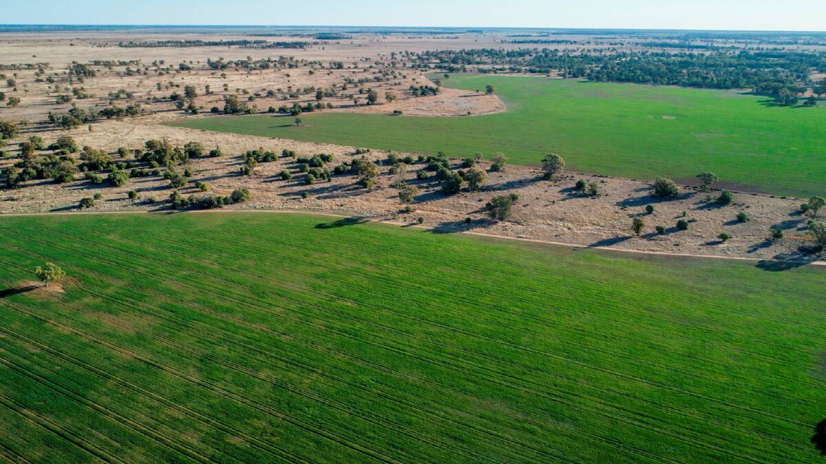 RAY WHITE RURAL: The historic Coonamle NSW property Nebea remains on the market after being passed in at auction for $8.3 million.
