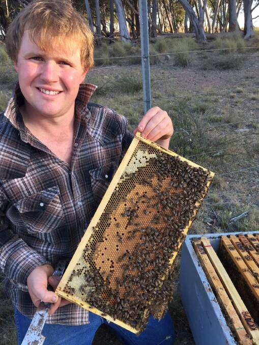 Honey Bee and Pollination R&D Program spokesman James Kershaw is calling on beekeepers from all over Australia to visit the new Oz Honey Project website.