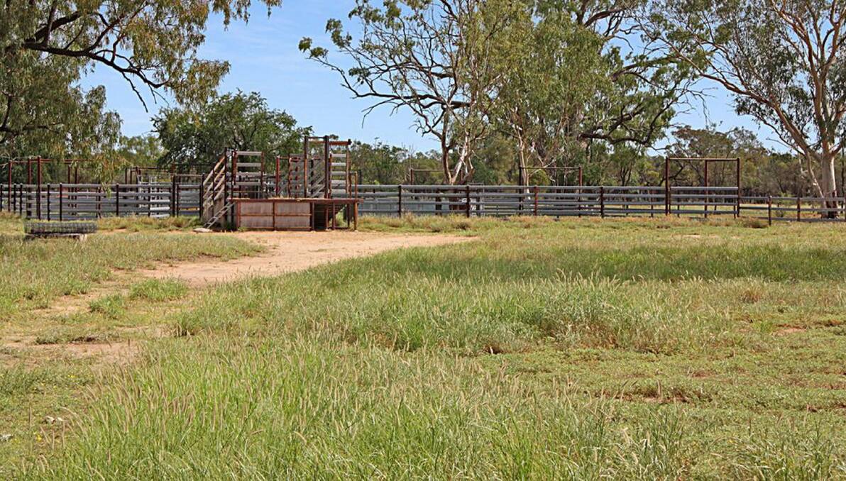Barcaldine property The Patrick has sold prior to its scheduled auction for a figure understood to be around $180/acre.