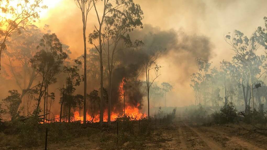 The bushfire review shows centralised policy decision making continues to ignore practical, local knowledge.