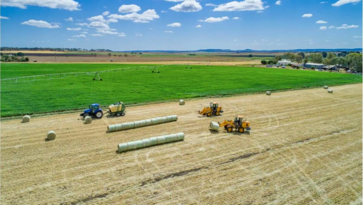 RAY WHITE RURAL: Productive Darling Downs property Allora Downs will be auctioned on November 17.