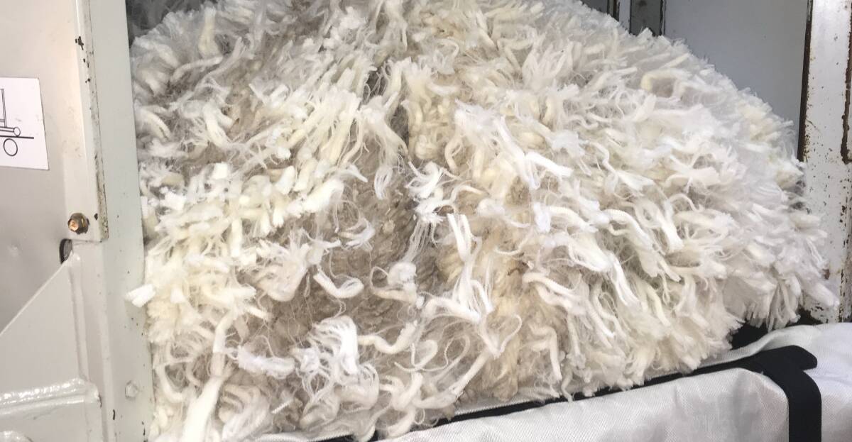 The Australian wool market has shrugged off concerns about coronavirus, rising 30c at sales last week.