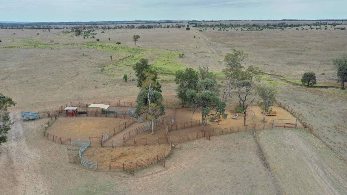 The cattle yards are located in the middle of the property and feature a covered main working area. 
